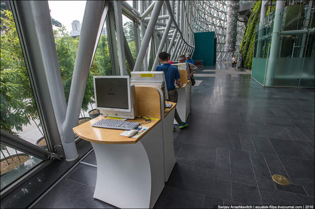 Мэри Сеула / Seoul City Hall