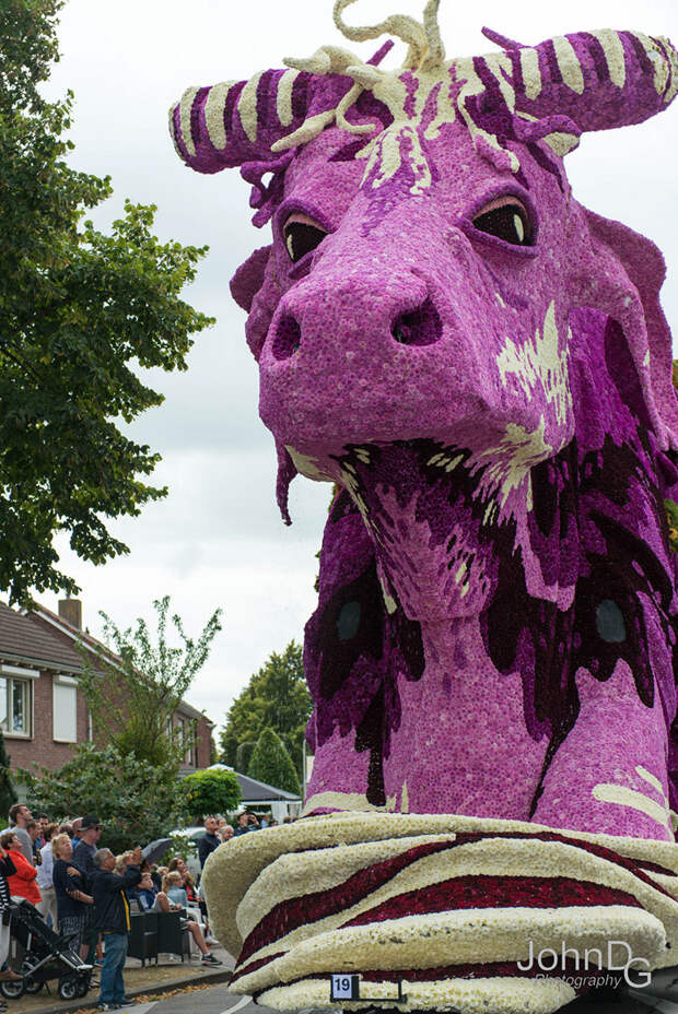 Невероятное зрелище! В Голландии прошел парад гигантских цветочных скульптур голландия, конкурс, красота, парад, цветы