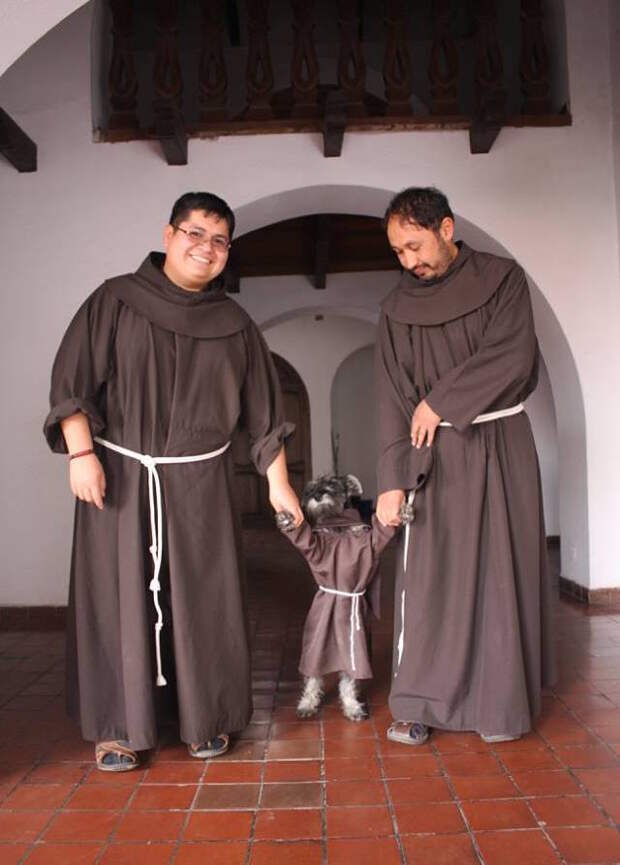 Новый член францисканского братства: пёс Кармело, которого приютил монастырь