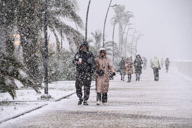 Синоптик Шувалов: две волны непогоды накроют Сочи в предновогодние дни