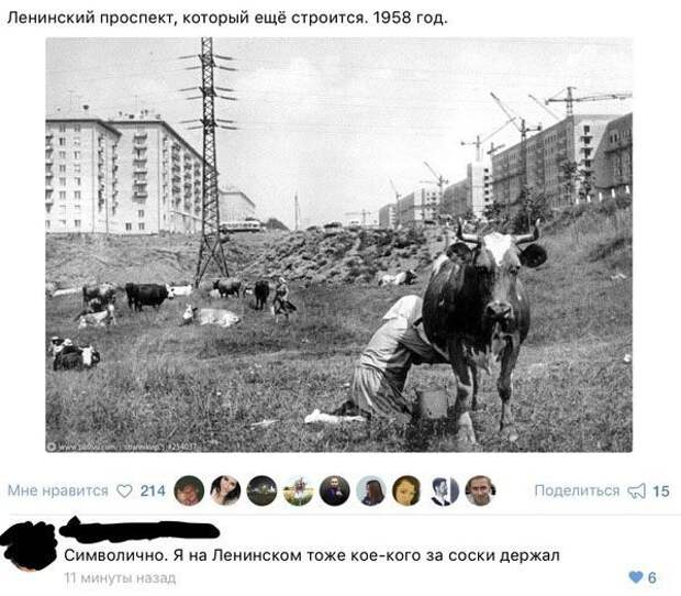 Зубодробительный юмор из социальных сетей