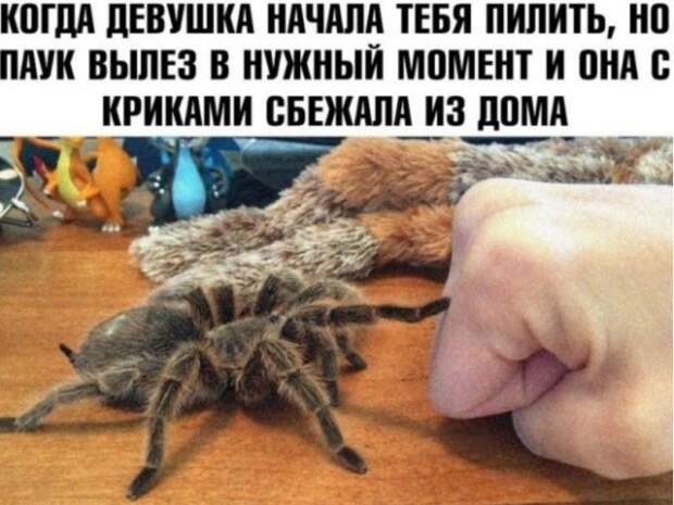 Приколы про современных девушек