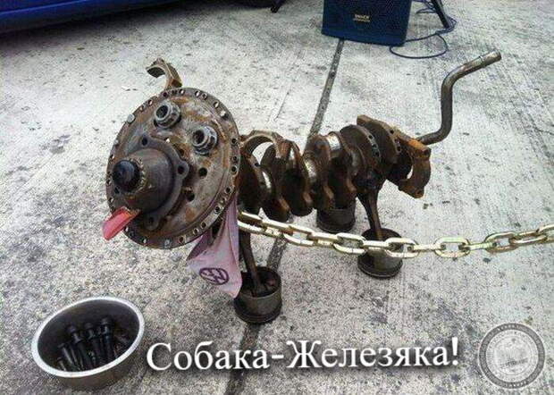 Собака-Железяка!