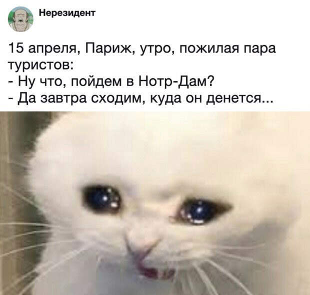 Перлы из социальных сетей на самые актуальные темы Перлы из социальных сетей на самые актуальные темы