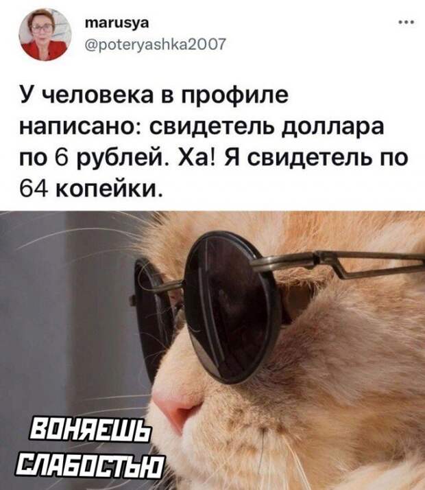 Смешные комментарии к постам в социальных сетях