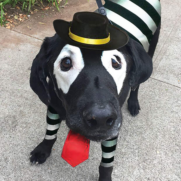 Hamburglar