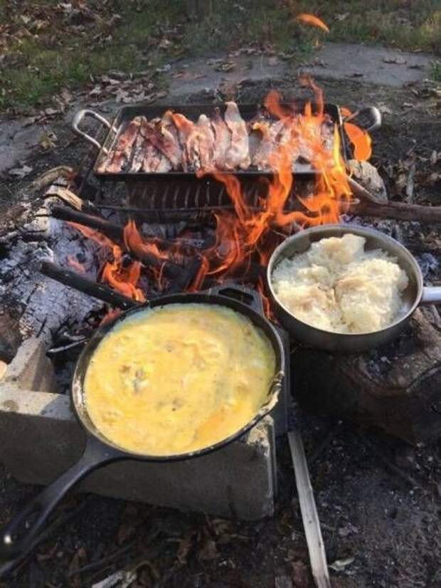 Прикольные картинки Прикольные картинки