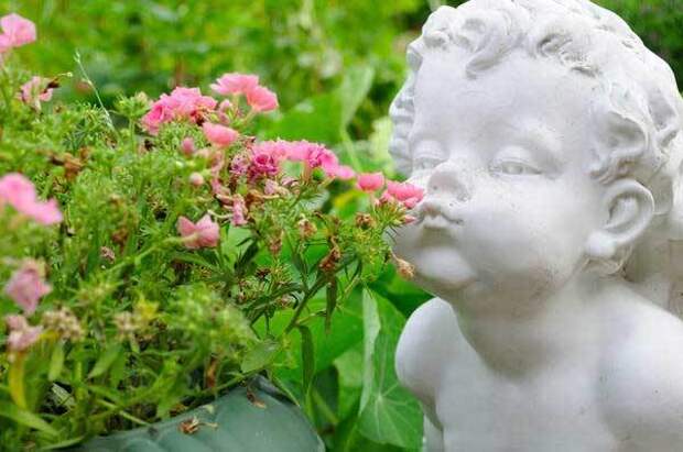 15 идей благоустройства маленького сада
