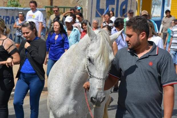 Конь пришел на похороны любимого хозяина, чтобы отдать ему последний долг конь, люди и звери, прощание, трогательно