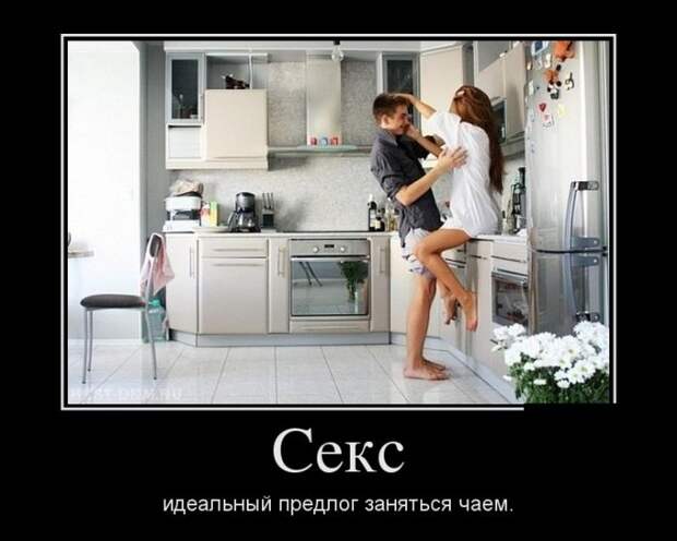 Демотиваторы (30 фото)