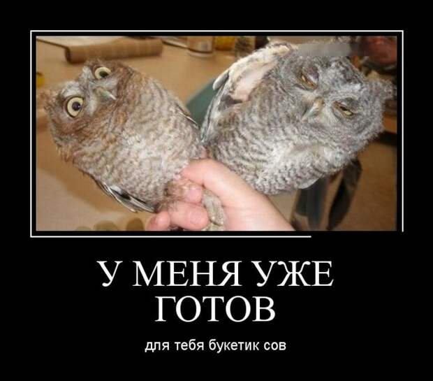 Забавные демотиваторы на утро (11 фото) Забавные демотиваторы на утро (11 фото)