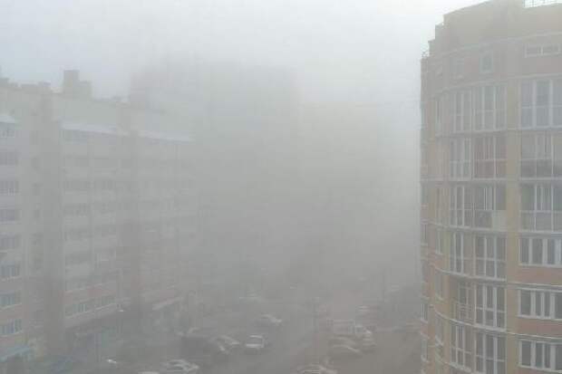 11 ноября в Тамбовской области ожидается туман