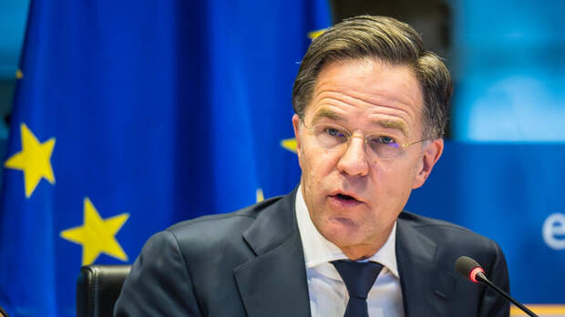 Депутат Рады счел выступление Рютте в Раде символом упадка Запада