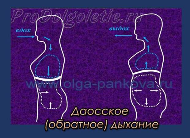 Даосское (обратное) дыхание