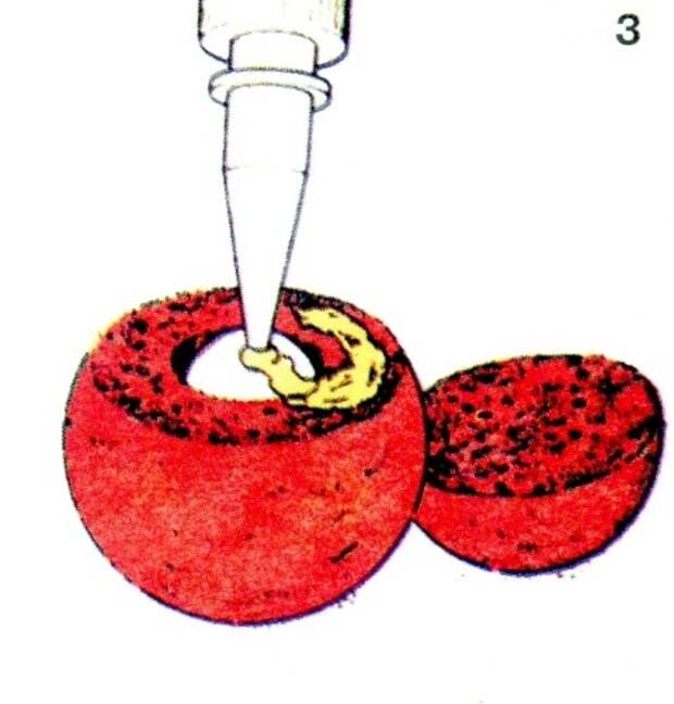 Главное о бойлах бойлы, иллюстрации, рыба, рыбалка, фото