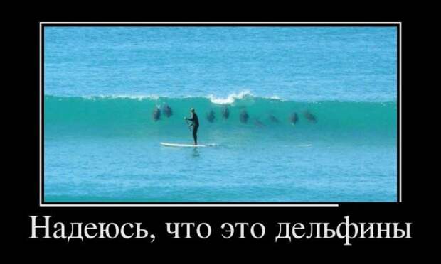 Демотиваторы