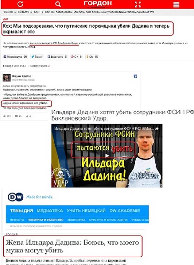 Сколько денег дадено на Ильдара Дадина. История одноименного проекта