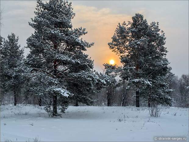 В поисках красивой лыжни