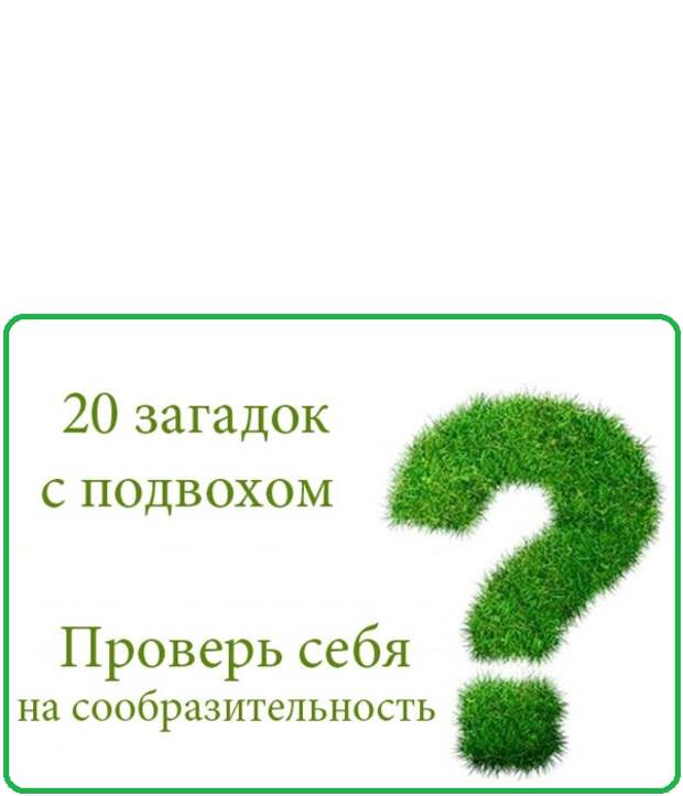 Смешные загадки с подвохом. Загадки с подвохом. Интересные загадки с подвохом. Загадки с подвохом для детей. Детские загадки с подвохом.