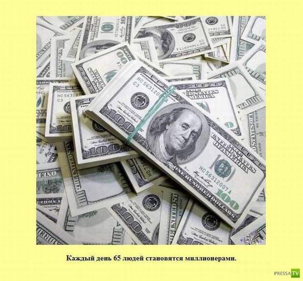 Интересные факты в картинках