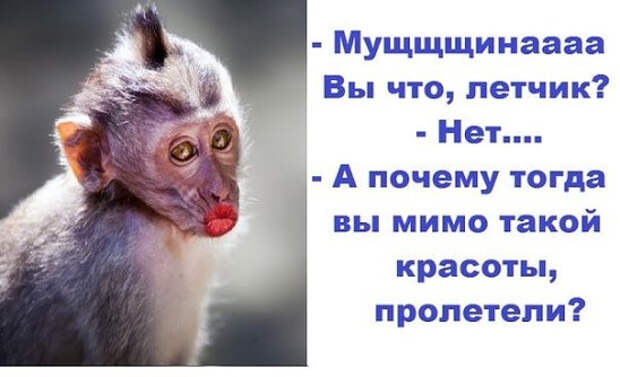 Z1SuFB9bZFk (548x334, 137Kb)