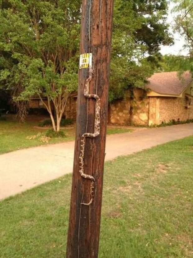 Прикольные картинки абавсём:D (12.08.16)