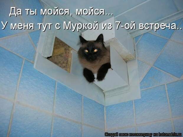 Котоматрицы