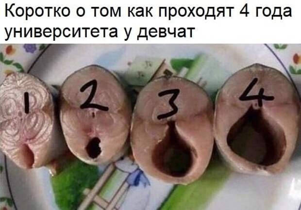 ПРИКОЛЬНЫЕ КАРТИНКИ # 49