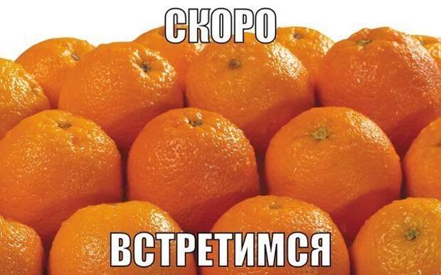 Смешные картинки с надписям