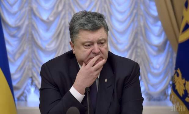 ВОТ ЭТО ПОВОРОТ! Савченко предложила Порошенко извиниться перед Януковичем и уступить ему своё место