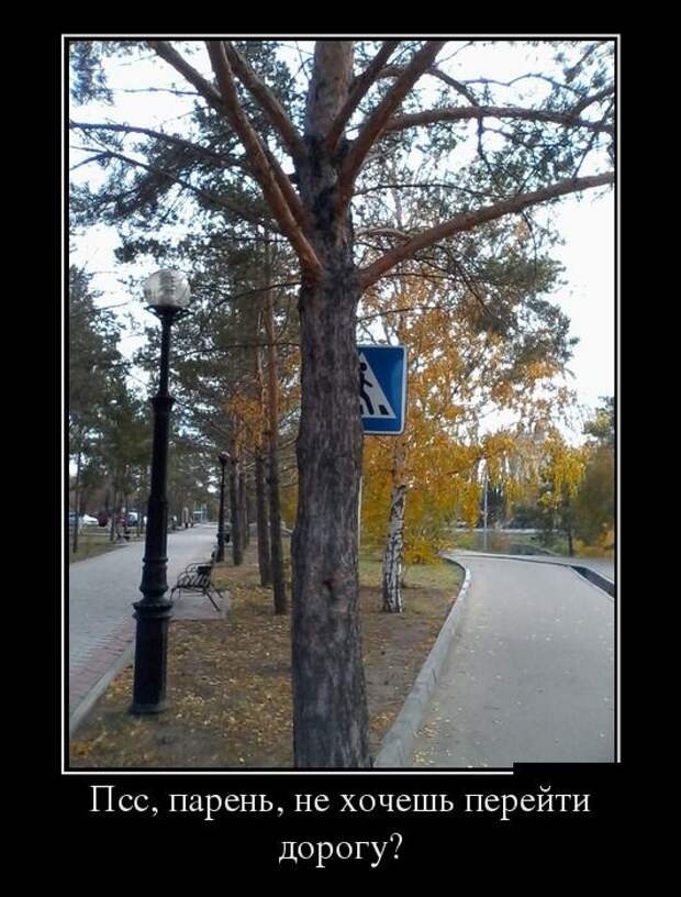 Демотиваторы