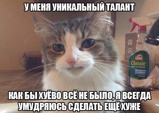 seBemsT3pJU