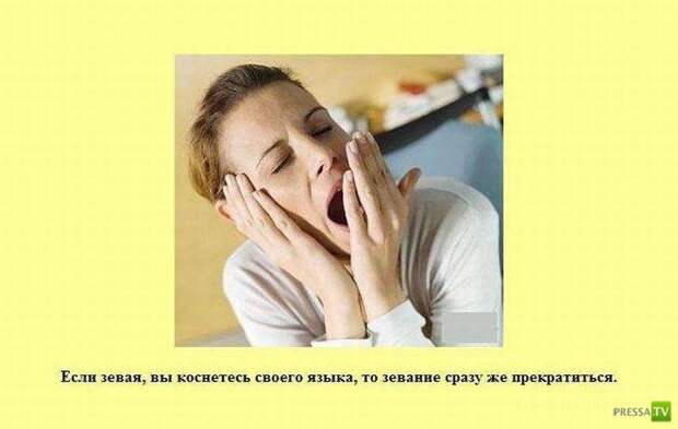 Интересные факты в картинках