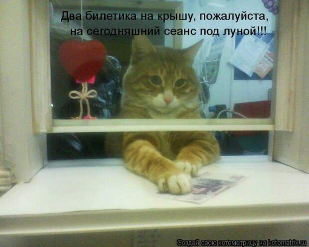 Мысли вслух :)