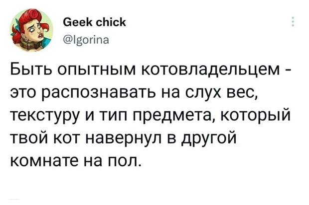 Немного твиттерных кошачьих заметок Немного твиттерных кошачьих заметок