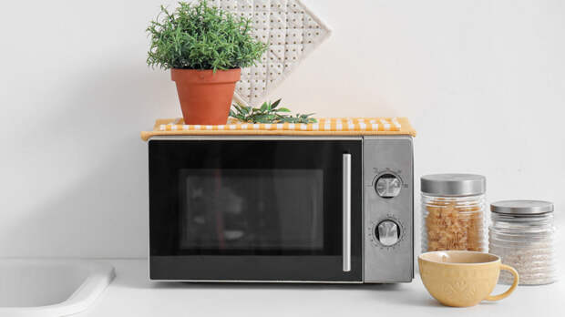 Какие ошибки мы допускаем при использовании микроволновки: это случается чаще, чем думают многие