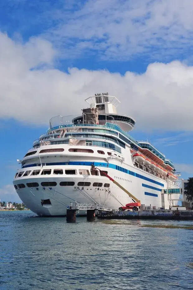 Более 100 человек заразились норовирусом на корабле Caribbean Princess