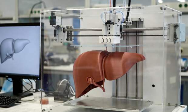 Российские ученые обещают регистрацию искусственных органов через 10 лет
