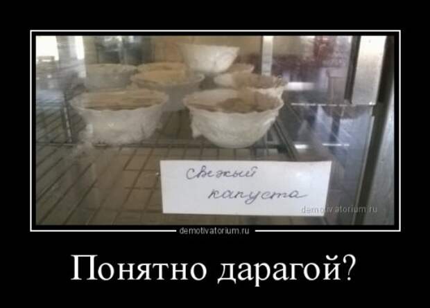 Свежая порция демотиваторов (15 шт)