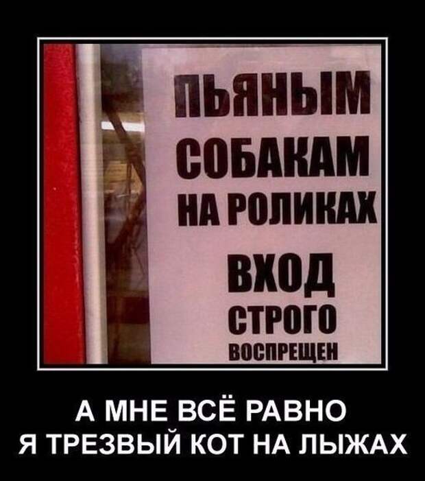 Демотиваторы демотиваторы, прикол, юмор