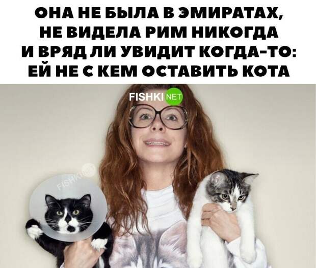 Ей не с кем оставить кота... Ей не с кем оставить кота...