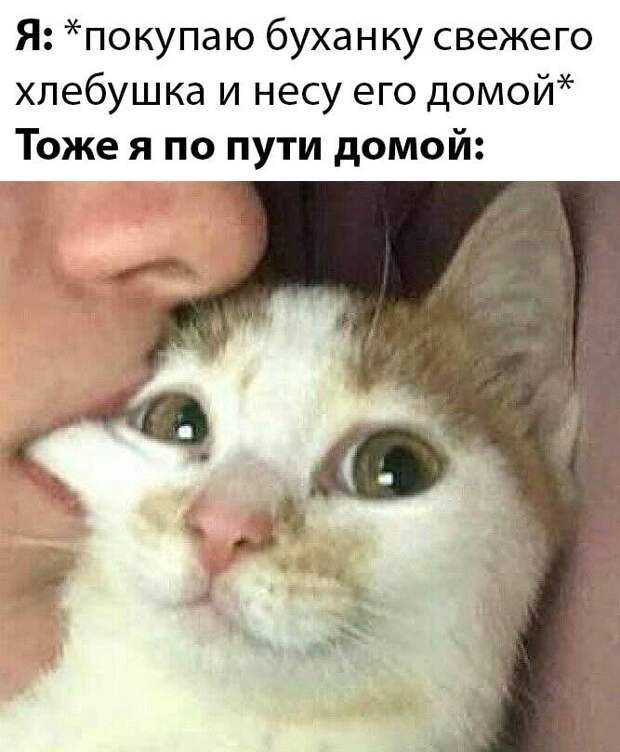 www.vsyako.net