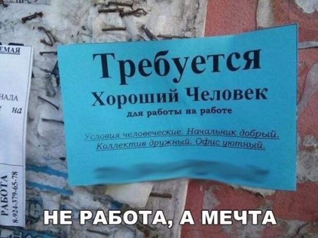 Анекдоты дня (8 шт)