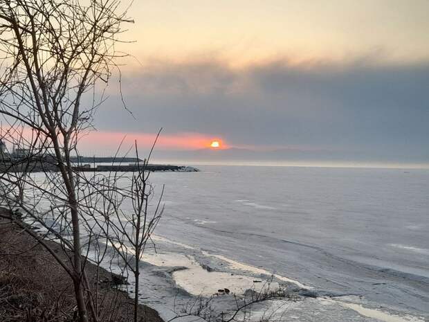 Синоптики назвали самые тёплые города Приморья в начале марта