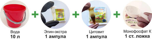 Схема применения