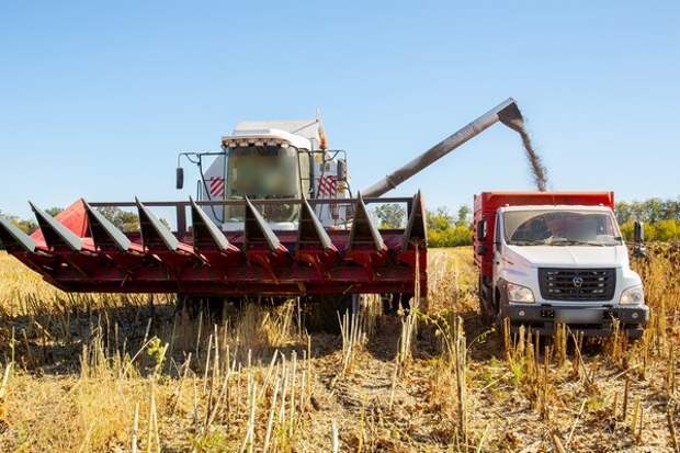В Тульской области списали 21 тонну семян пшеницы