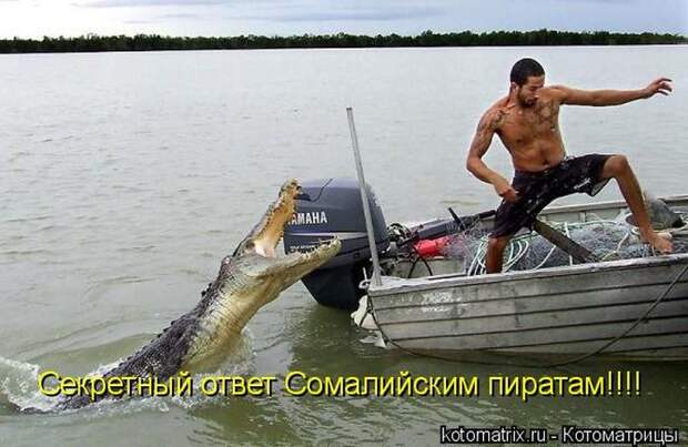 Мысли вслух :)