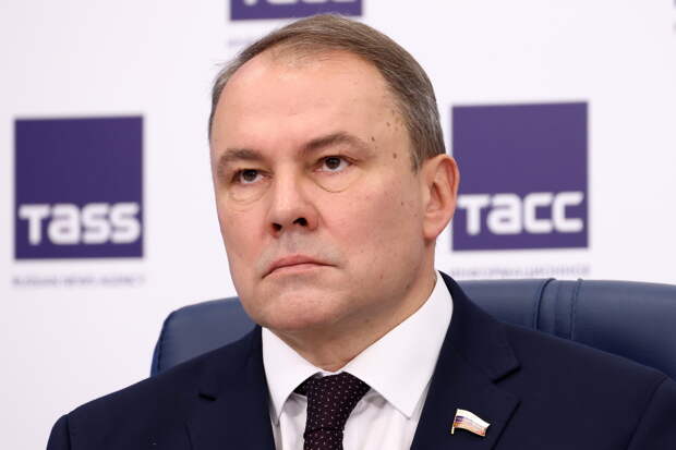 Толстой сообщил о внесении законопроекта о приоритете кровных родственников при усыновлении или опеке ребенка