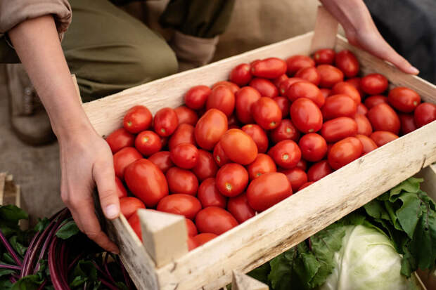 FT: в Испании выросли цены на томаты и мясо из-за роста спроса за рубежом