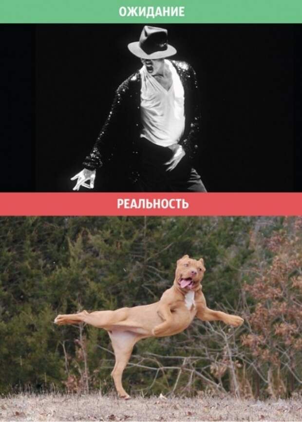 Мужские ожидания и суровая реальность Мужские ожидания и суровая реальность